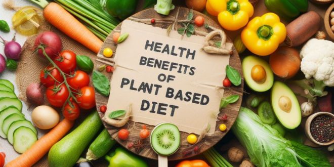 Health Benefits Of Plant Based Diet - TopTag